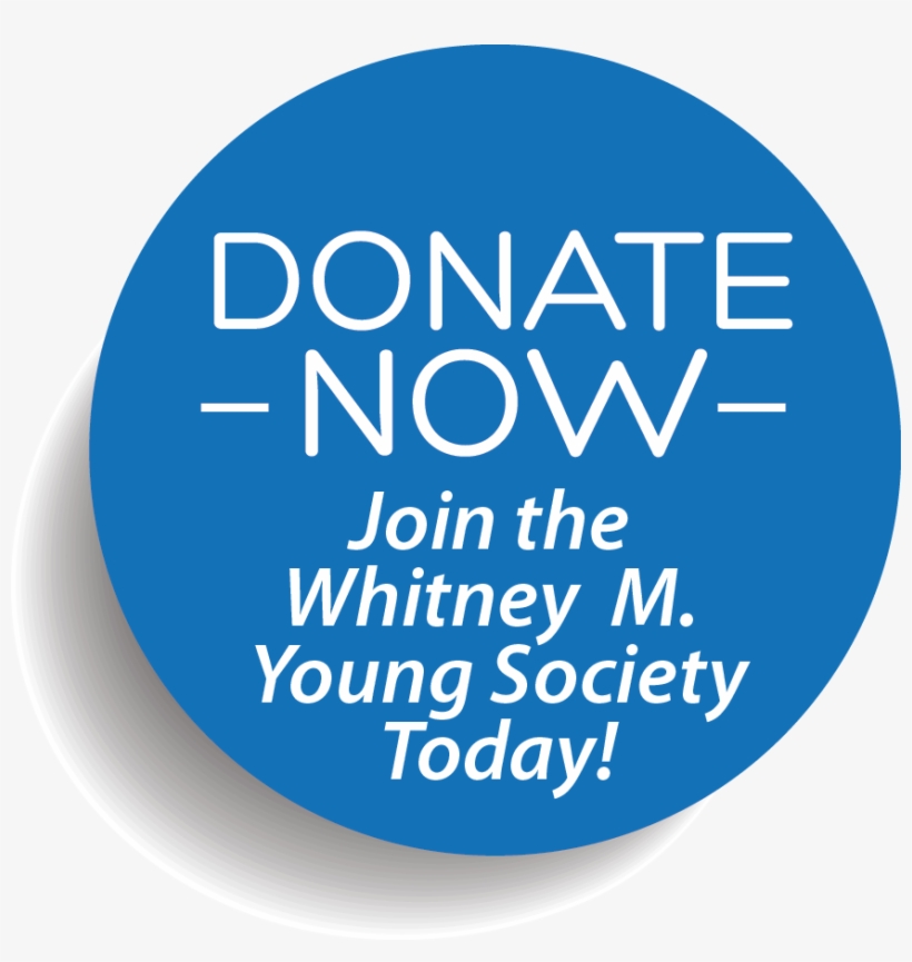 Why I Give » Donate Now Button Blue Whitney M - Agence De L Eau Loire Bretagne, transparent png download