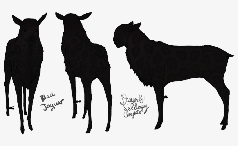Black Jaguar Inspired - Red God Pelt The Endless Forest, transparent png download