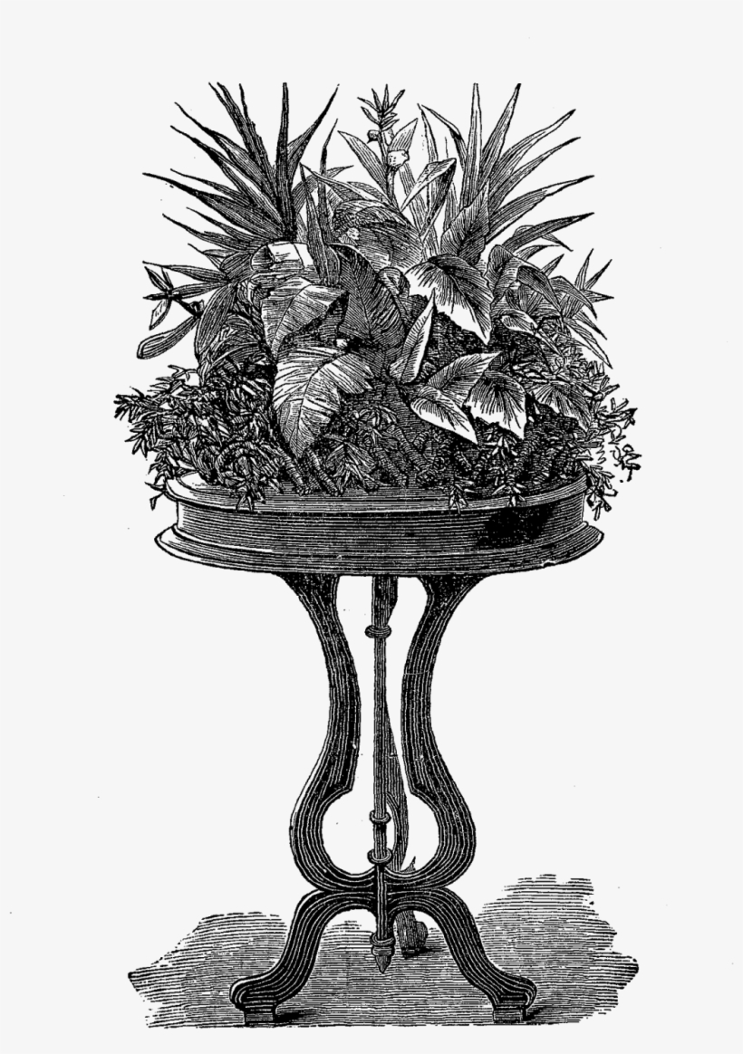 Free Potted Plants Png - Victorian Plant, transparent png download