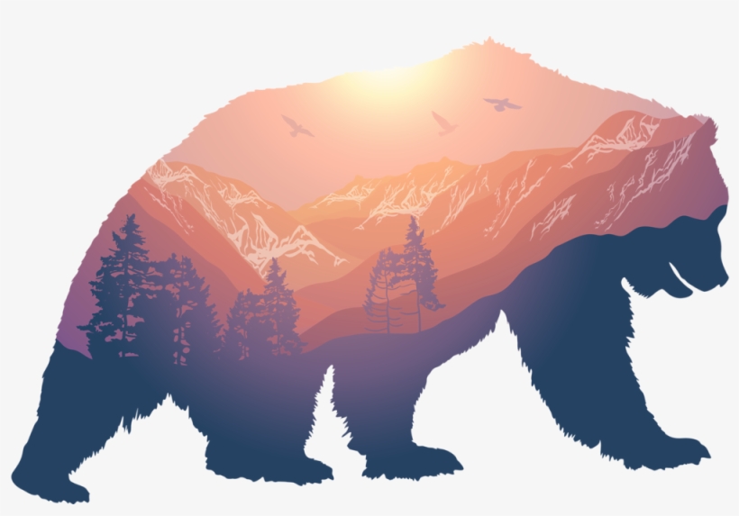 Bear Web - Wildlife Concept, transparent png download