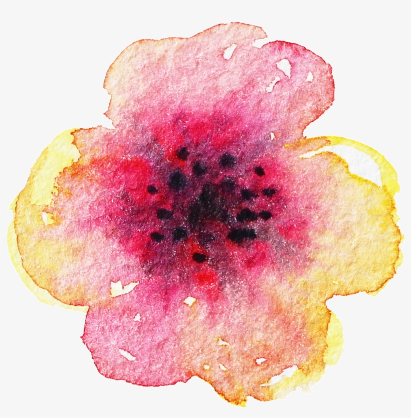 Creative Hand Painted Petal Decoration Vector - California Wild Rose, transparent png download