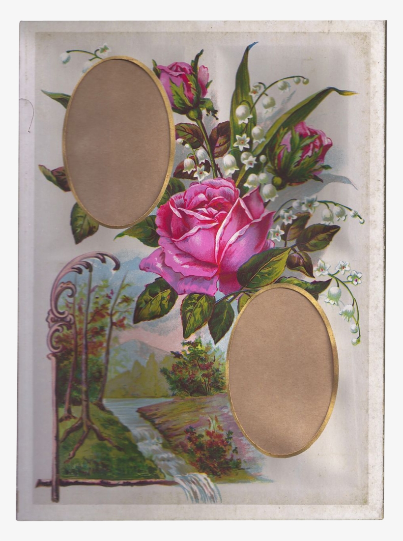 Lovely Chromolithograph Floral Page From Victorian - Picture Frame, transparent png download