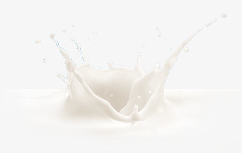 Cookies - Still Life Photography, transparent png download