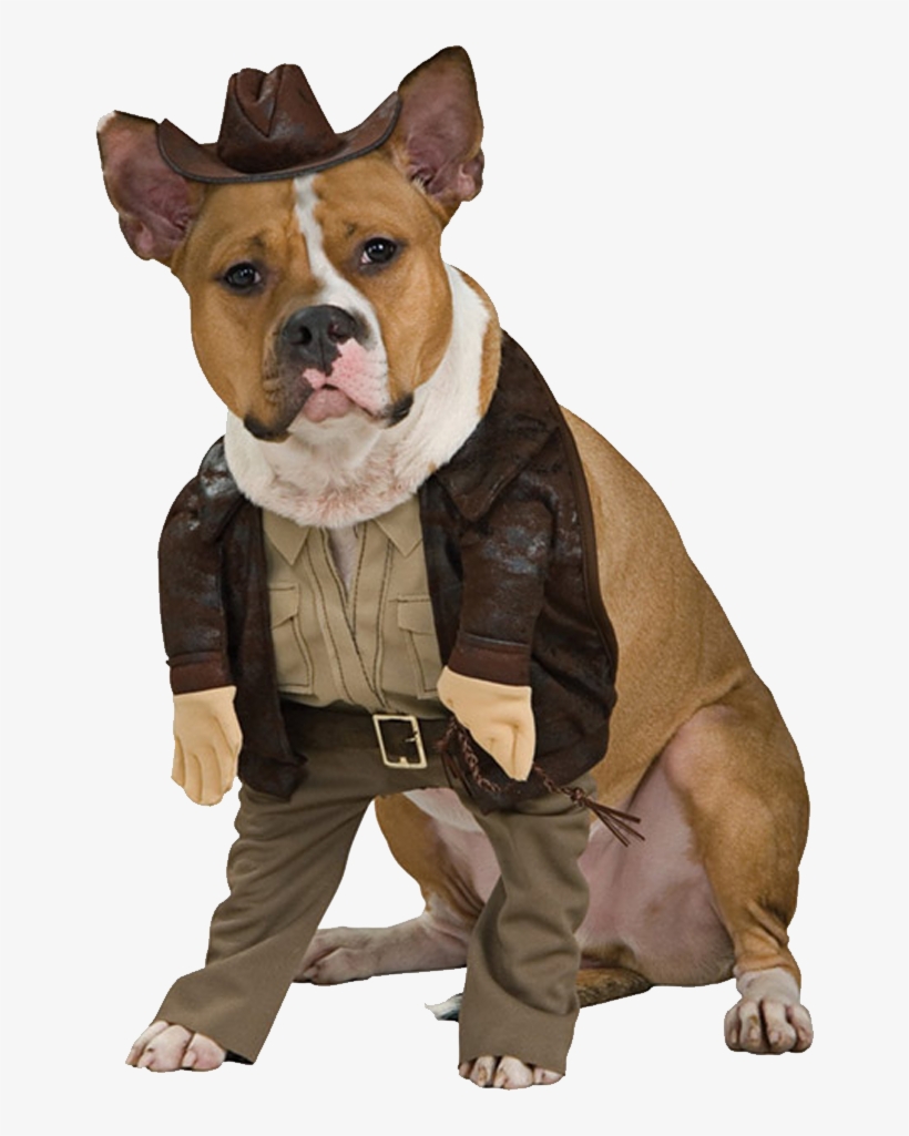 funny dog png