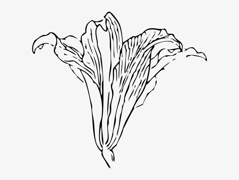 Blossom Png Images 600 X, transparent png download