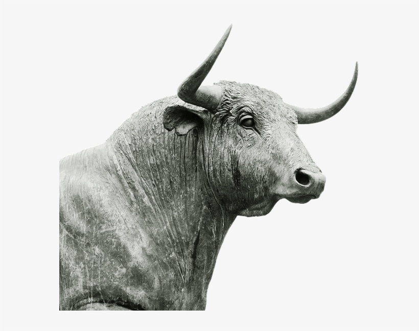 'bull In A China Shop' 'éléphant Dans Un Magasin De - La Cornamenta Del Toro De Lidia : Análisis De Su Integridad, transparent png download