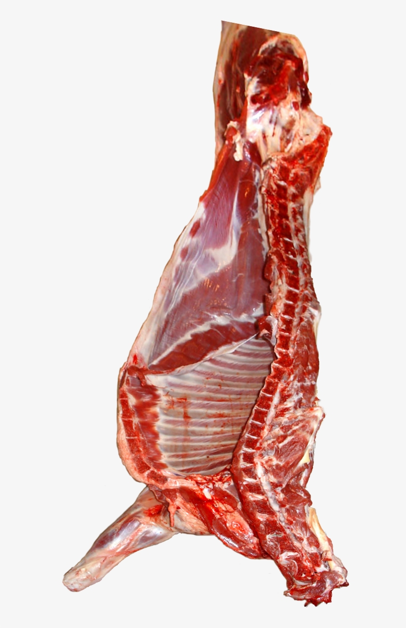 File - Schafhälfte - Red Meat, transparent png download