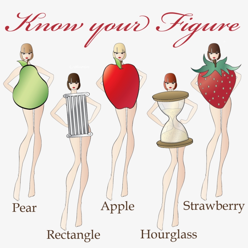 I Can Bet, You've Read This Type Of Article Many Times - اشكال الجسم بالصور, transparent png download