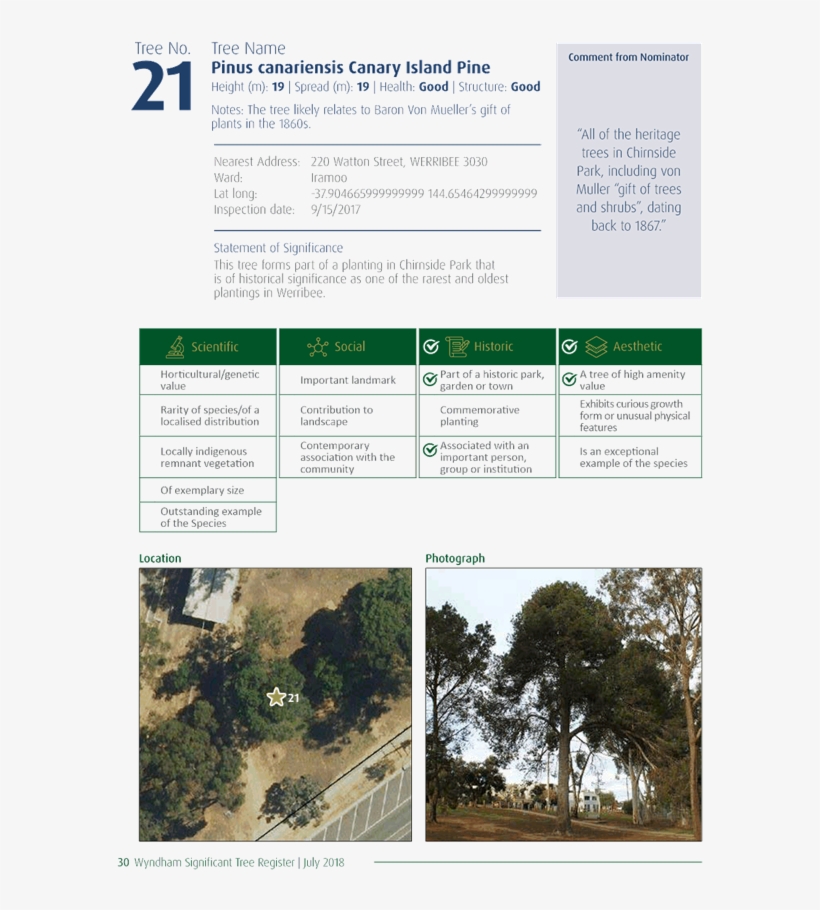 Pdf Creator - Tree, transparent png download