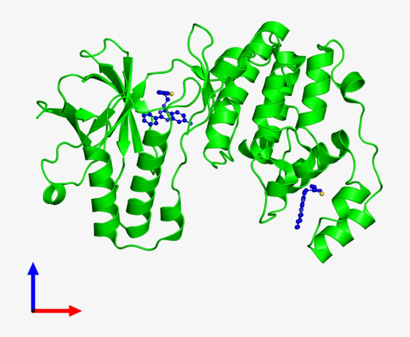 Monomeric Assembly 1 Of Pdb Entry 5n65 Coloured By - Protein Data Bank, transparent png download