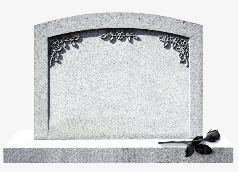 Never Get Flu Shots, transparent png download