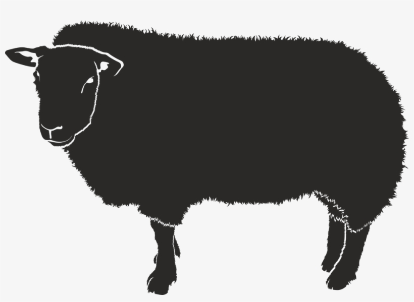 Sheep Graphic Png - Sombra De Una Oveja, transparent png download