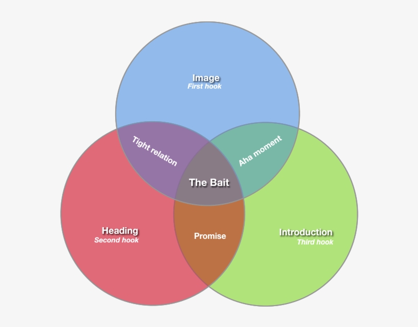 The Bait Diagram - Circle, transparent png download