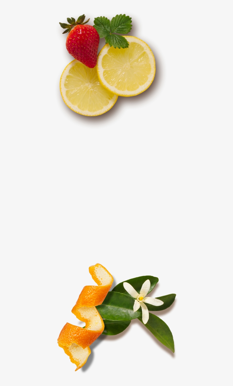 Recipes - Citrus, transparent png download