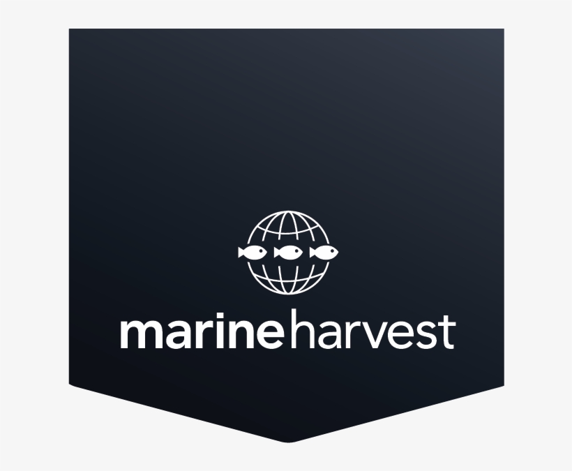 Medtronic • Qore • Two Monkey • Yun Yun Sun • Mandarin - Marine Harvest Logo, transparent png download