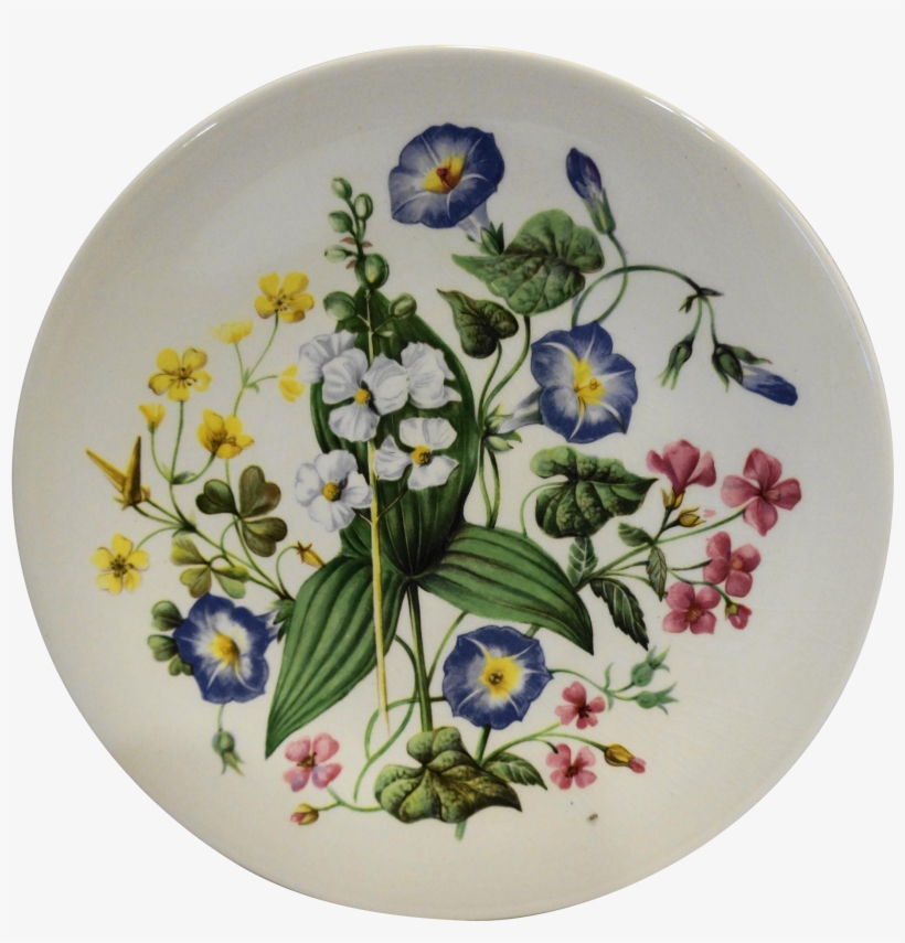 This Plate Was Produced By Enoch Wedgwood Of England - Ogin-gil, transparent png download