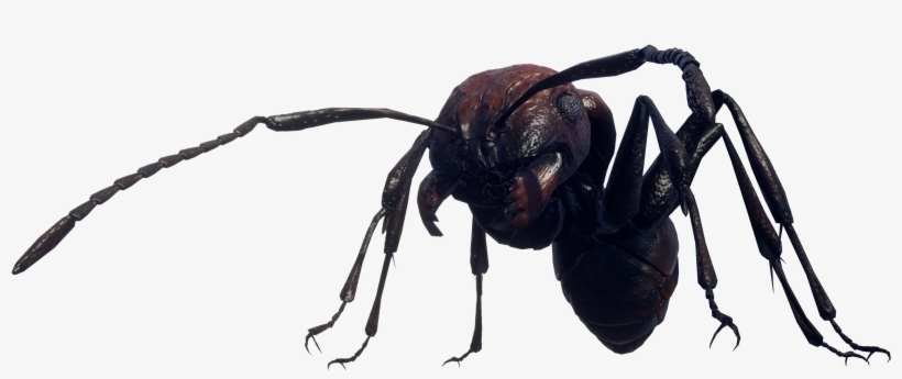 Below You'll Find Some 70-something Images From Earth - Earth Defense Force, transparent png download