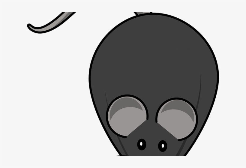 Mouse Animal Cliparts - Rat, transparent png download