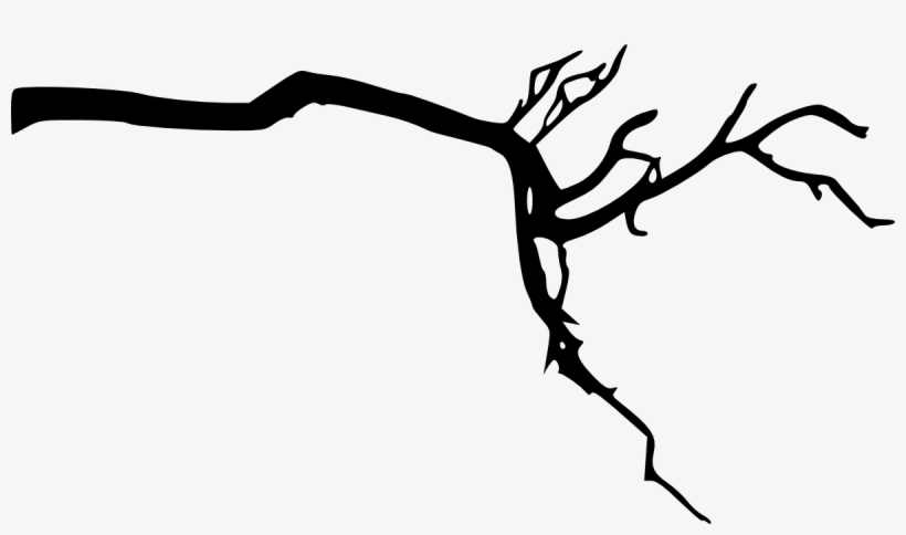 Tree Branch Silhouette Png Download - Transparent Background Tree Branch, transparent png download