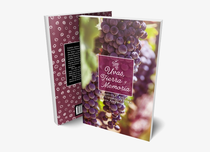 Comprar - Sultana, transparent png download