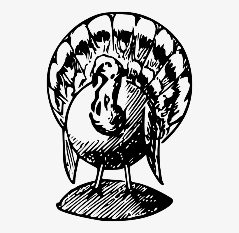 Turkey Png Black And White, transparent png download