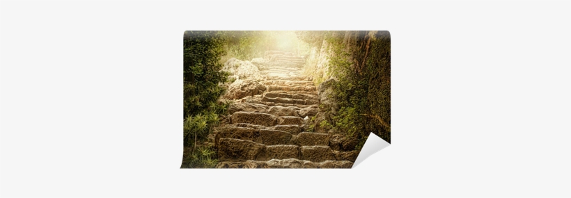 Design Art 'holy Light And Upstairs' Photographic Print, transparent png download