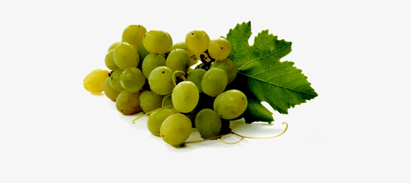 Uvas - Grape, transparent png download