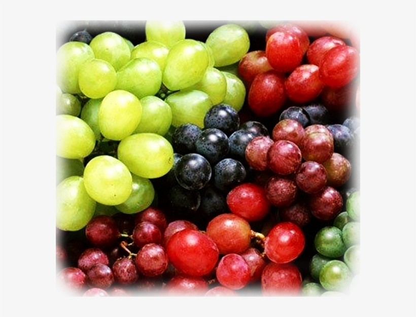 Una De Las Principales Características De Las Uvas - Fruits Farm In Western Cape, transparent png download