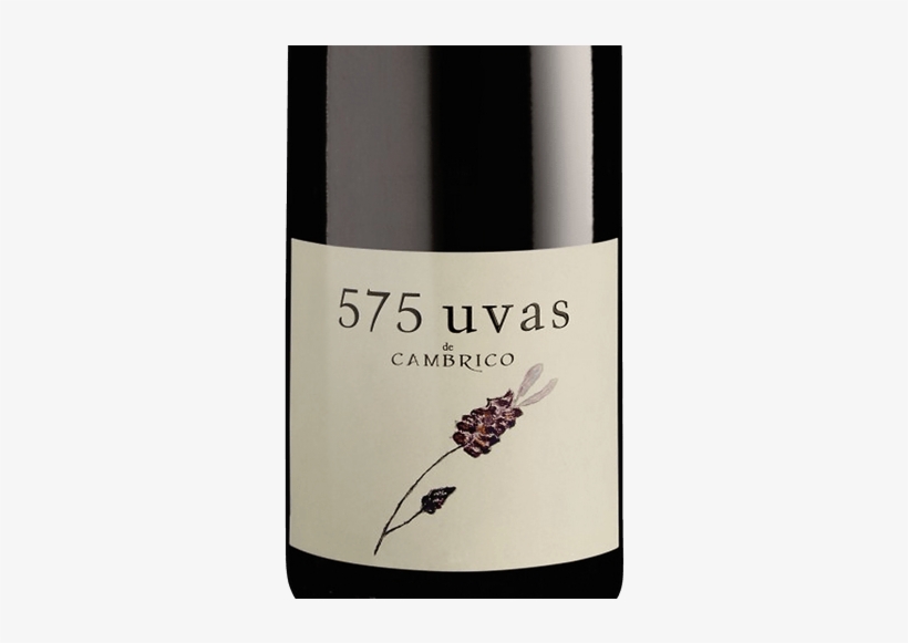 Glass Bottle, transparent png download