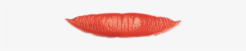 Prevnext - Lip Gloss, transparent png download