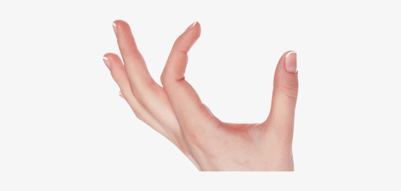 Hand Png, transparent png download