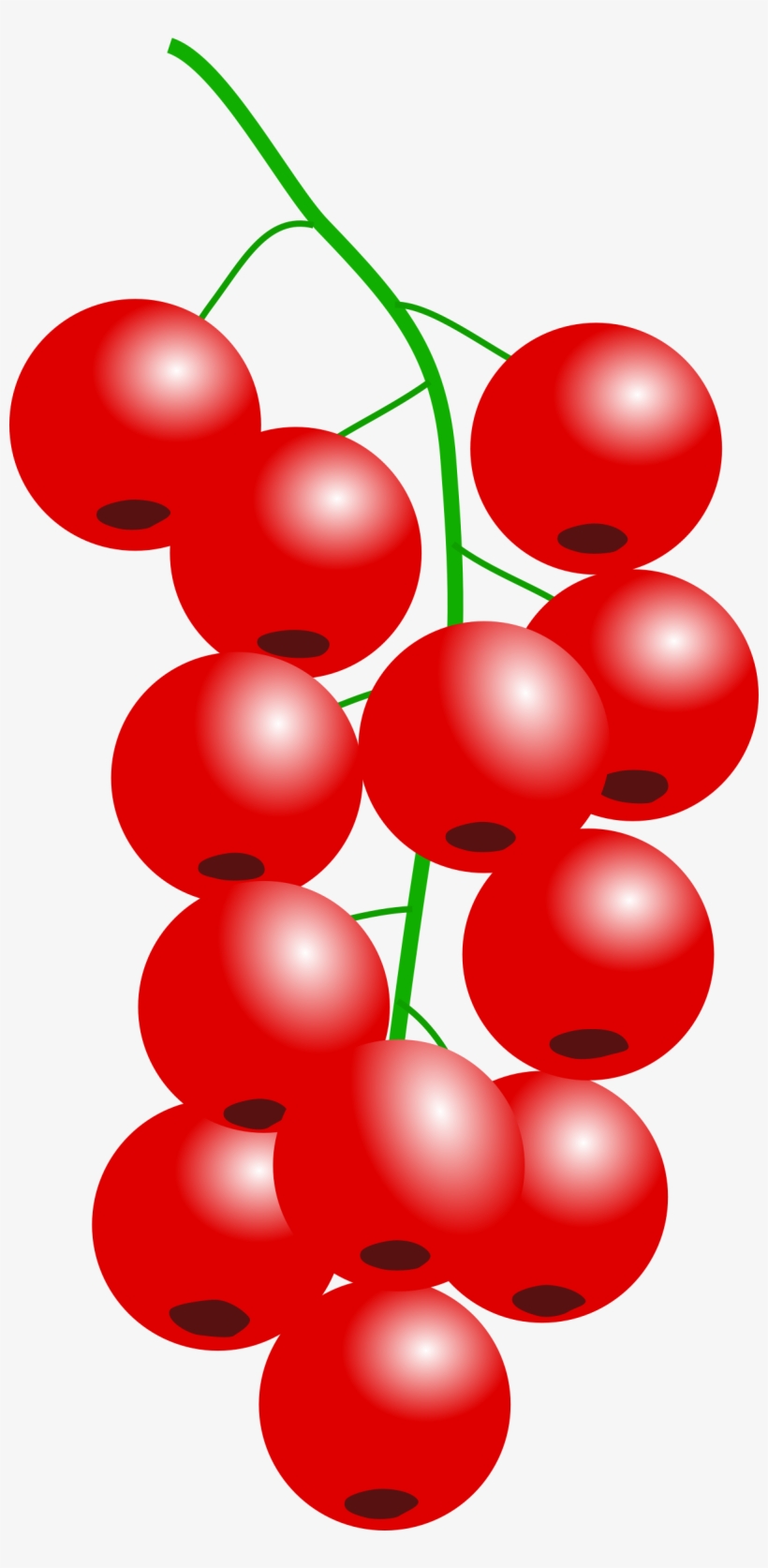 Berry Vector Animated - Red Berries Shower Curtain, transparent png download