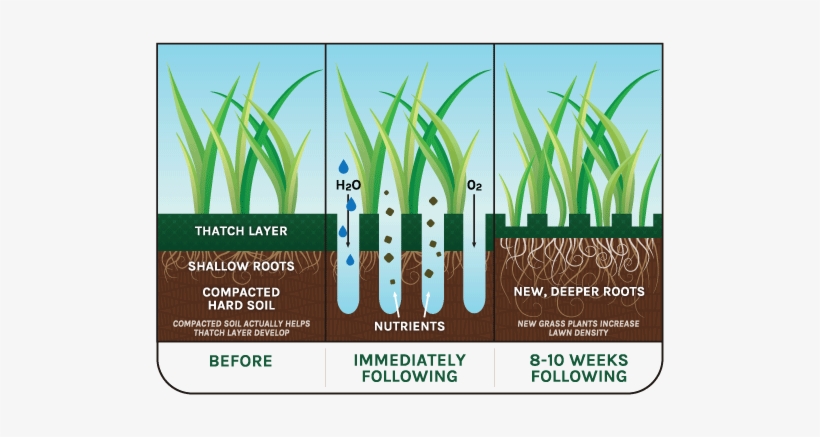 Gaseous Exchange In Soil, transparent png download