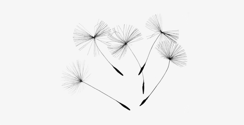 Nature/paysages Images - Agenda Organiseur 2017: Prenez Plus De Temps Pour Faire, transparent png download