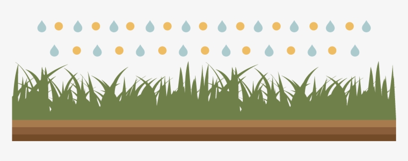 A Good Long-term Fertiliser Will Make Your Grass Stronger, - Shutterstock, transparent png download