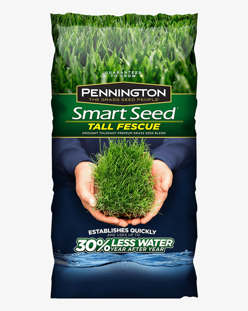 Addthis Sharing Buttons - Pennington 3 Lb. Tall Fescue Shade Grass Seed Pc Mix, transparent png download