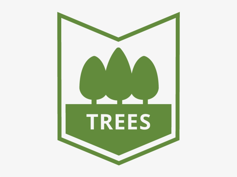 By Raising The Canopy And Delimbing Dead Or Broken - Institute Of Electrical Engineering, transparent png download