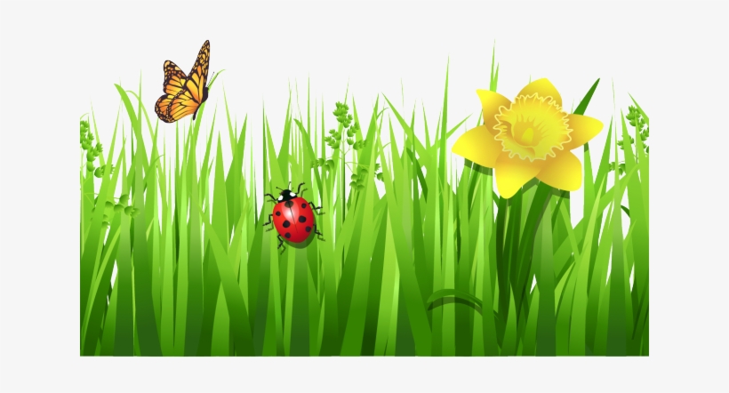 Dry Grass Clipart Dead Grass - Flowers With Grass Png Hd, transparent png download