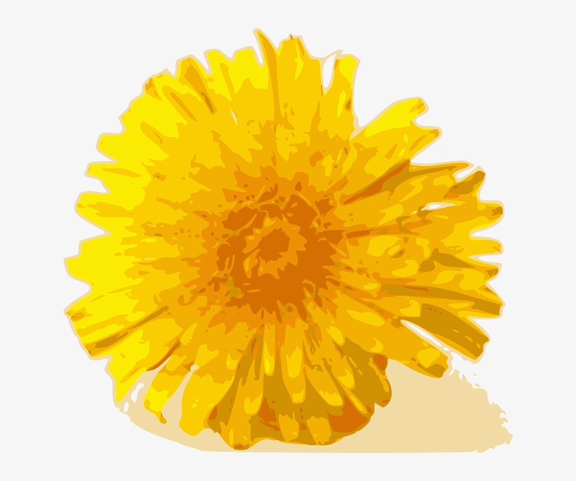Steve Yellow, Plants, Flower, Flowers, Cartoon, Bloom, - Dandelion Clip Art, transparent png download