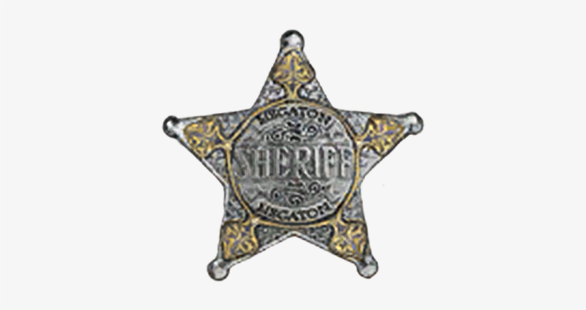 Sheriff Badge - Polk County Sheriff Badge, transparent png download