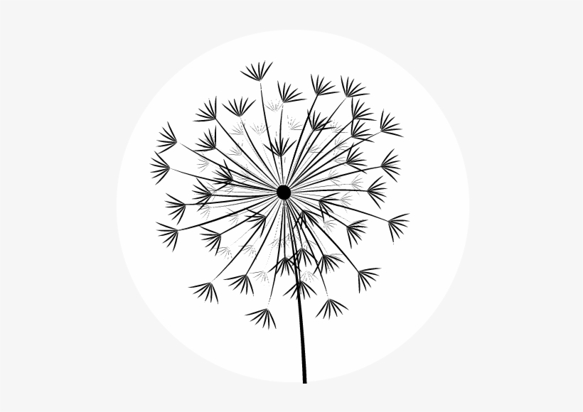 Circle, transparent png download