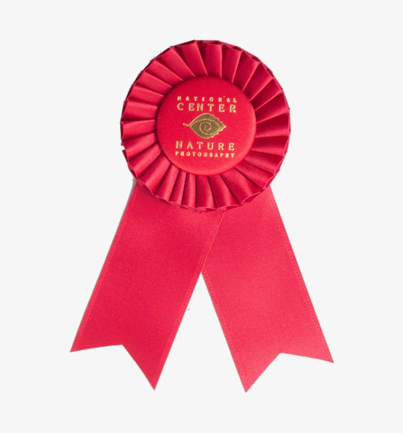 102 Custom Award Rosetterosettesrs 102 962 - Award, transparent png download