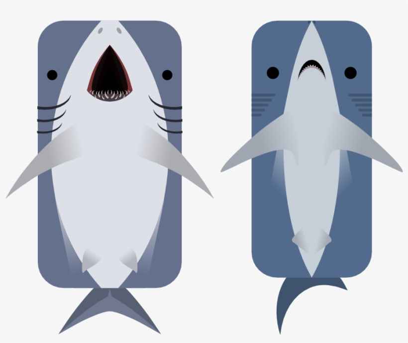 Animal - Blue Shark, transparent png download