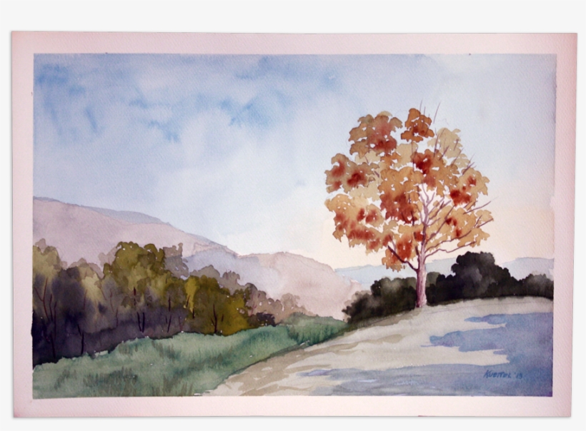 161 - Maple Tree, transparent png download