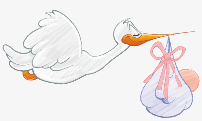 Stork Clipart Baby Png - Newborn Stork Png, transparent png download