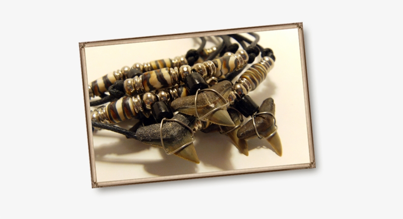 Shark Teeth Necklaces - Venice, transparent png download