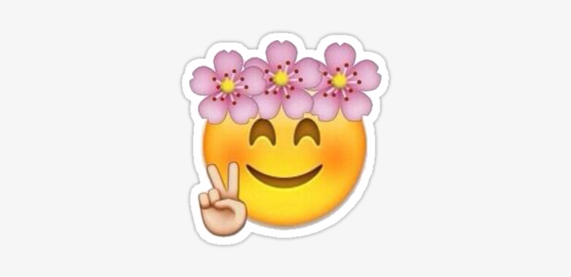 The Gallery For > Tumblr Laptop Cases - Iphone 6s Plus Iphone 6 Plus Case Cover By Hybcase, transparent png download