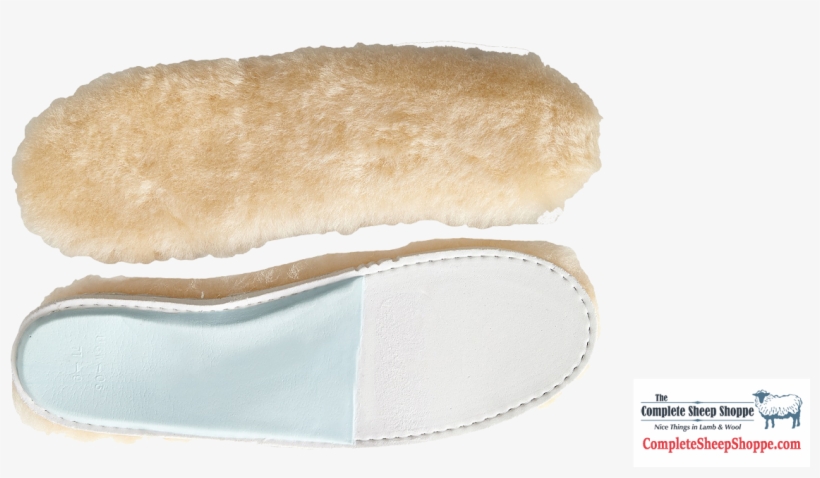 Amazon And Ugg Insole Replacement - Composite Material, transparent png download