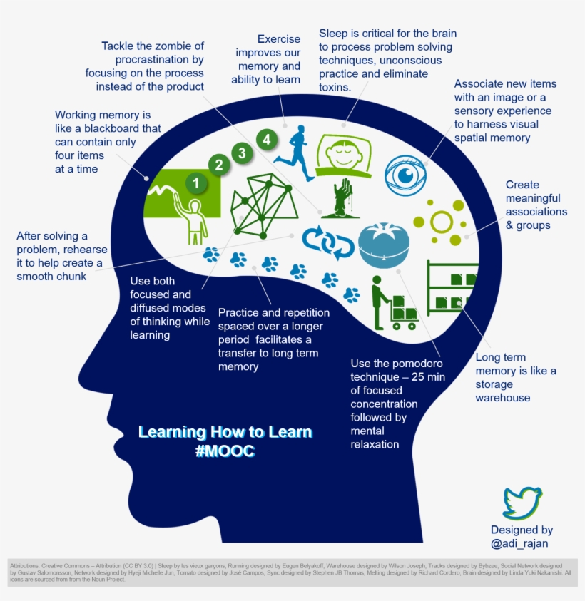 Learning How To Learn Mooc - Learning How To Learn Infographic ...