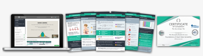 Mechanisms, And Real-world Applications Of Hrv In This - Hrvcourse, transparent png download